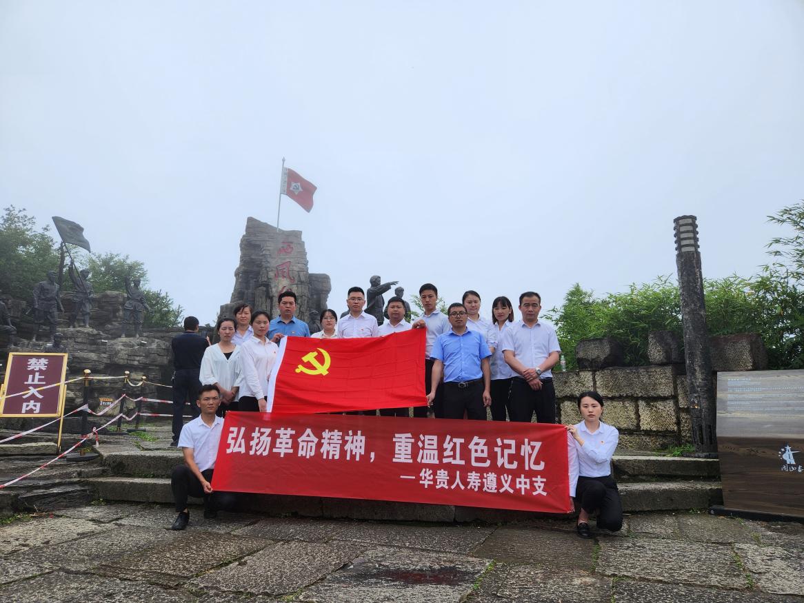 华贵人寿党建图1.jpg