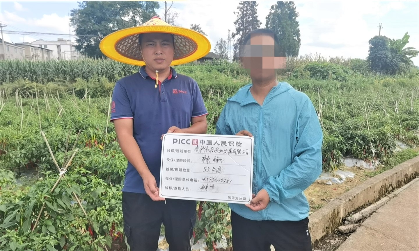 人保财险农险图片3.jpg